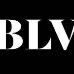 Black Labs Ventures